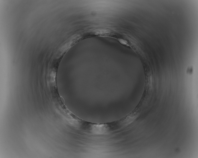 X0000111020281200906191659