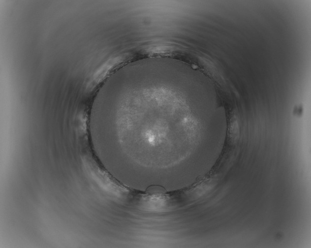 X0000111020282200906191659