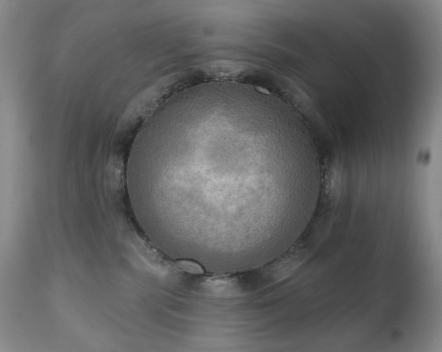 X0000111020283200906191659