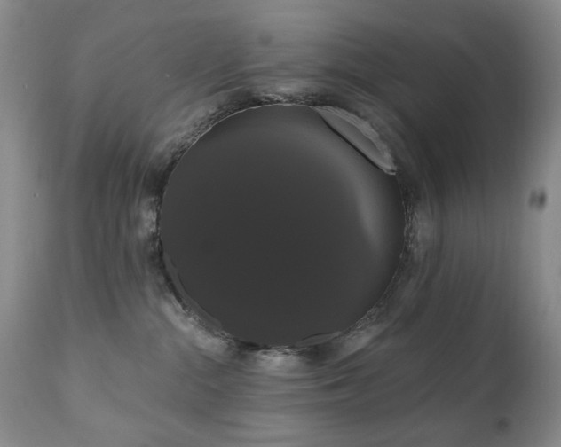 X0000111020284200906191659