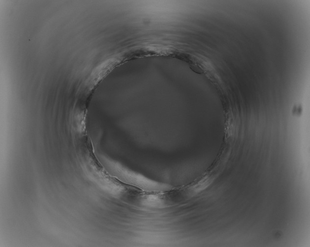 X0000111020285200906191659