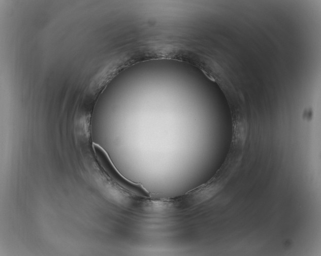 X0000111020286200906191659