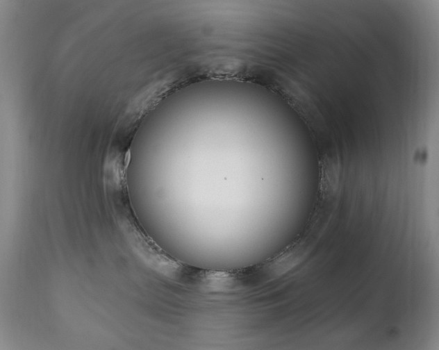 X0000111020287200906191659