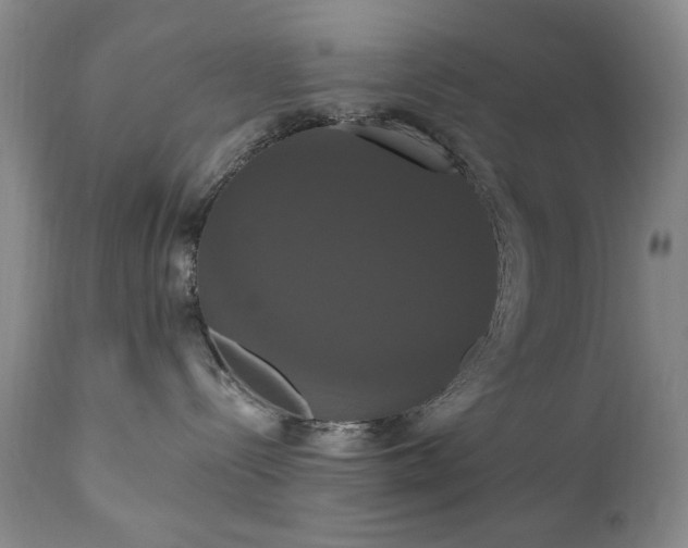 X0000111020288200906191659
