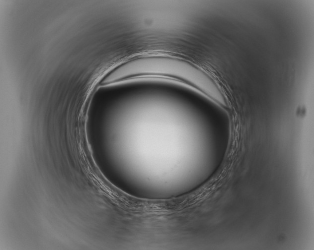 X0000111020289200906191659
