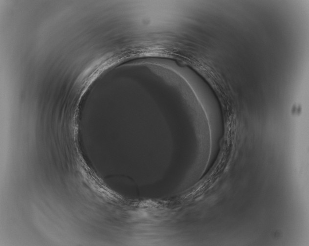 X0000111020290200906191659