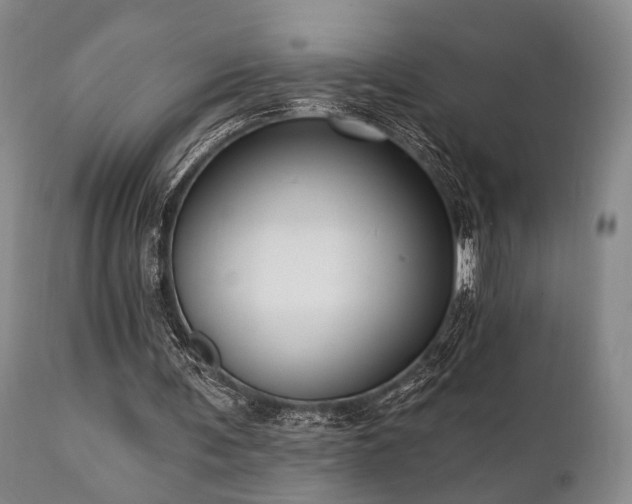 X0000111020291200906191659
