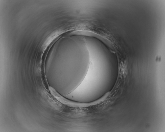 X0000111020292200906191659