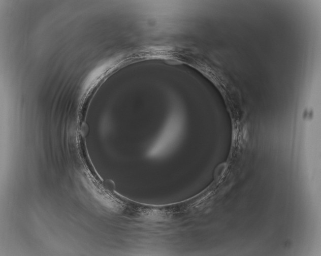 X0000111020293200906191659