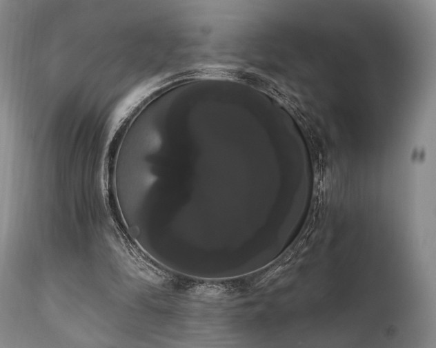 X0000111020294200906191659