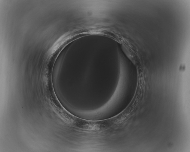 X0000111020295200906191659
