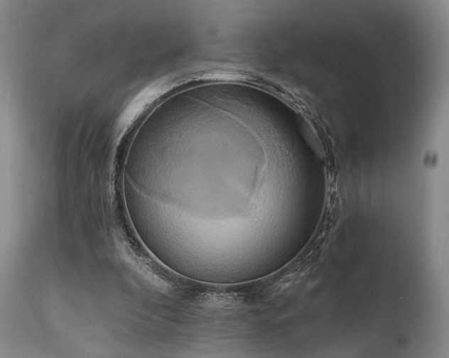 X0000111020296200906191659