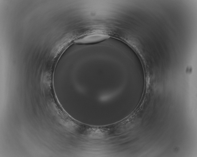X0000111020297200906191659