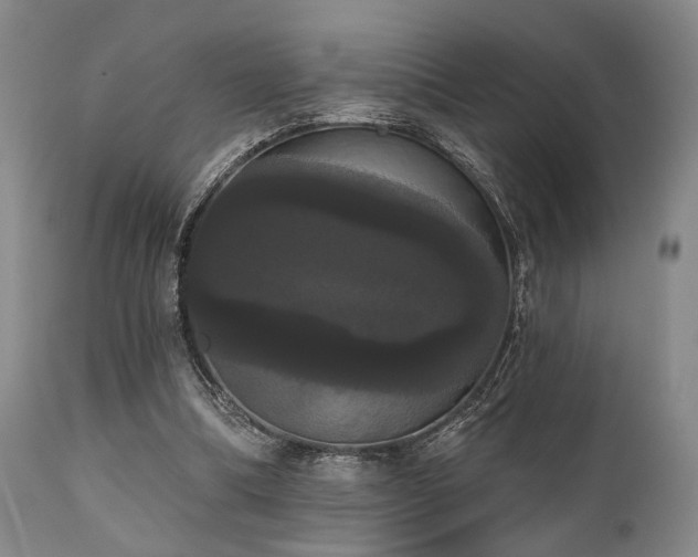 X0000111020298200906191659