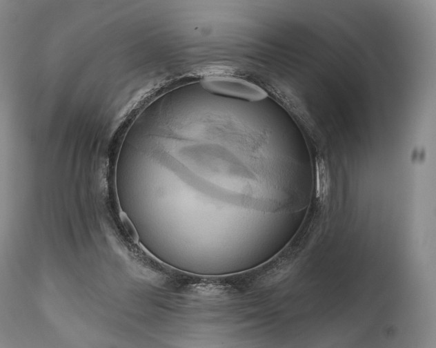 X0000111020300200906191659