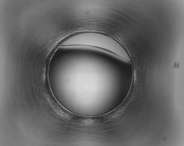 X0000111020301200906191659