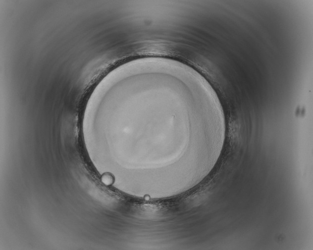 X0000111020302200906191659