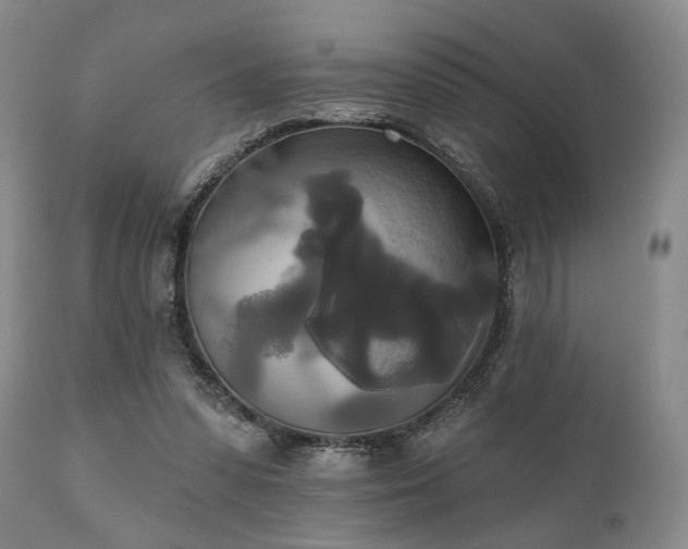 X0000111020303200906191658