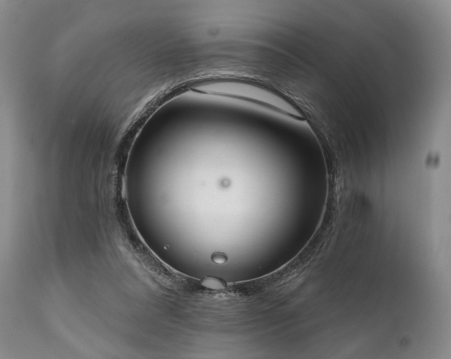 X0000111020304200906191658
