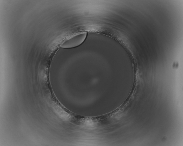 X0000111020305200906191658