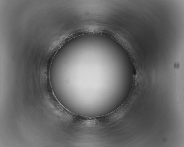 X0000111020306200906191658