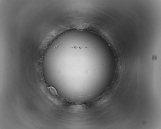 X0000111020307200906191658