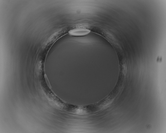 X0000111020308200906191658