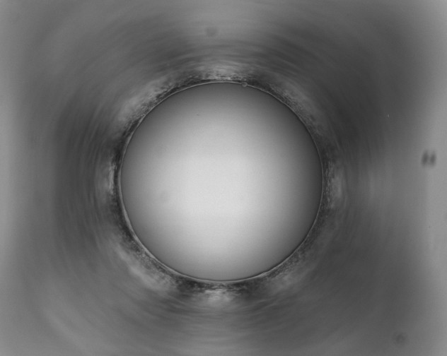 X0000111020310200906191658