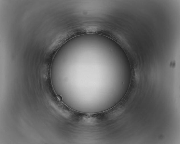 X0000111020311200906191658