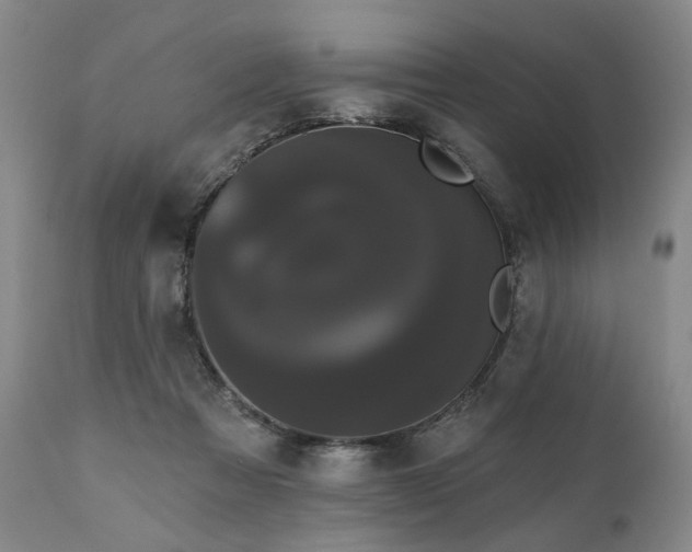 X0000111020313200906191658