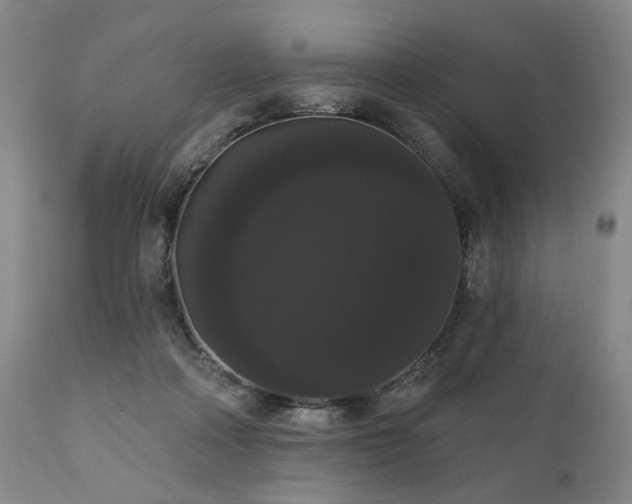 X0000111020314200906191658