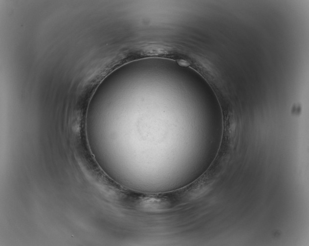 X0000111020315200906191658