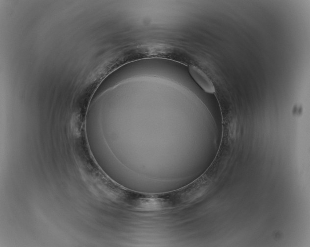 X0000111020316200906191658