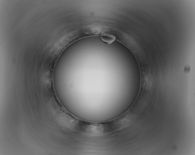 X0000111020317200906191658