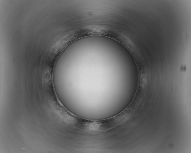 X0000111020318200906191658