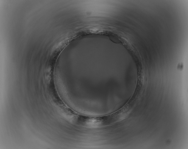 X0000111020319200906191658