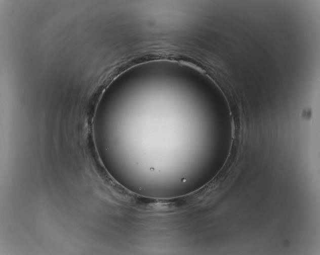 X0000111020320200906191658