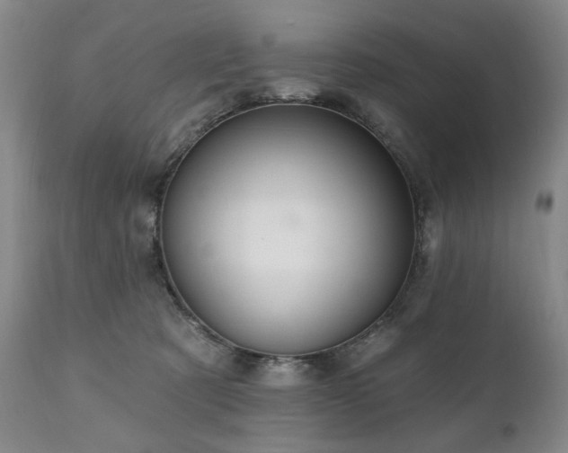 X0000111020321200906191658