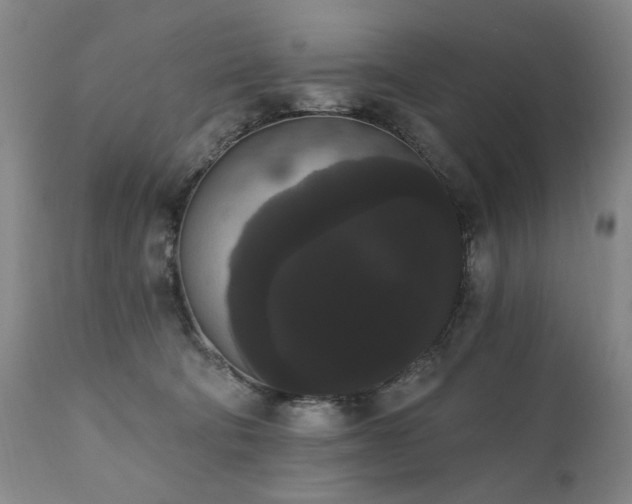 X0000111020322200906191658