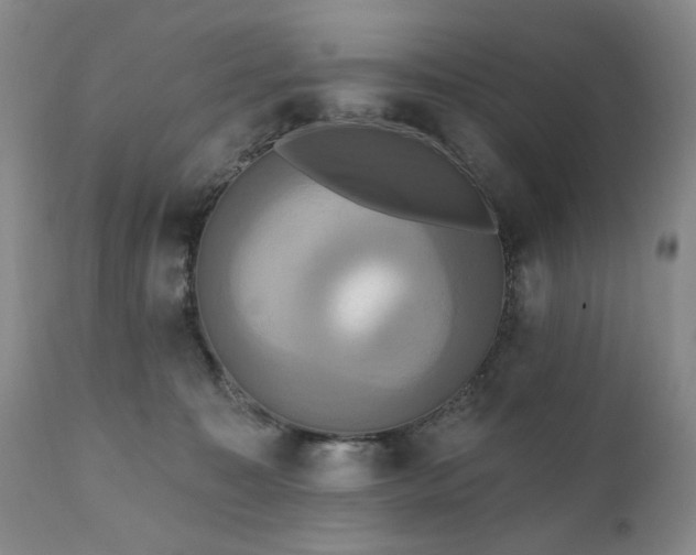 X0000111020323200906191658
