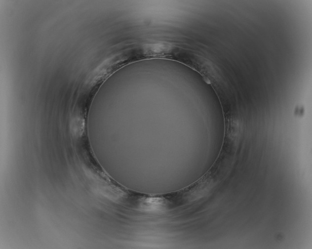 X0000111020324200906191658