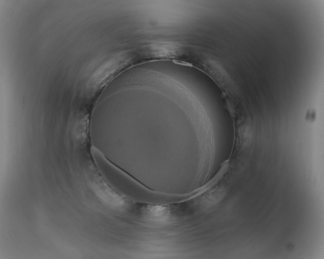 X0000111020325200906191658