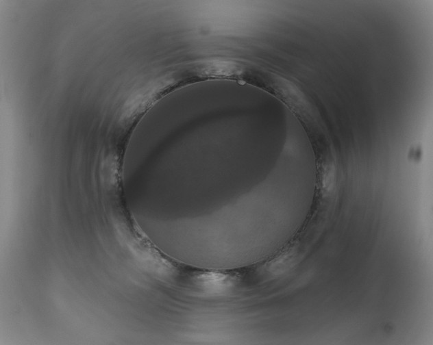 X0000111020326200906191658