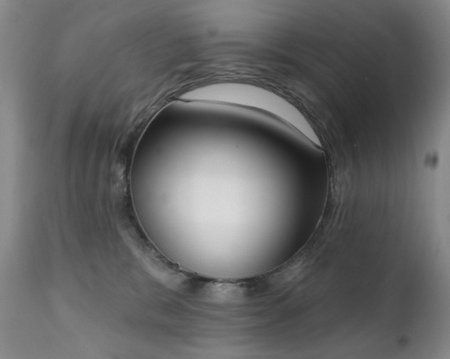 X0000111020327200906191658