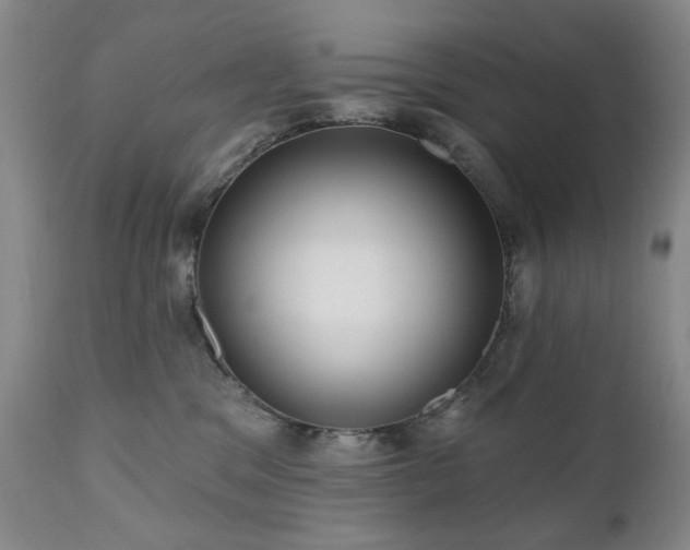 X0000111020329200906191658