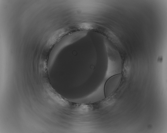 X0000111020330200906191658