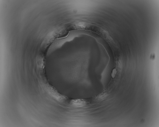 X0000111020331200906191658