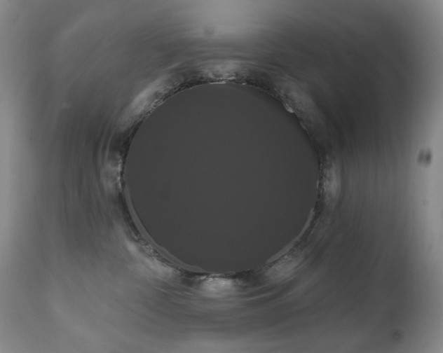 X0000111020332200906191658