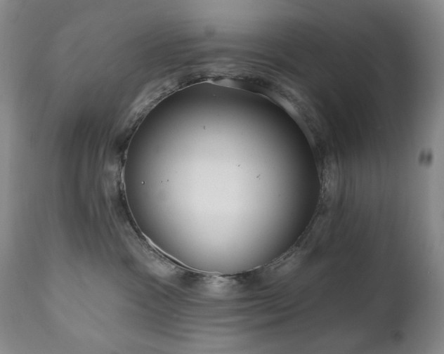 X0000111020333200906191658