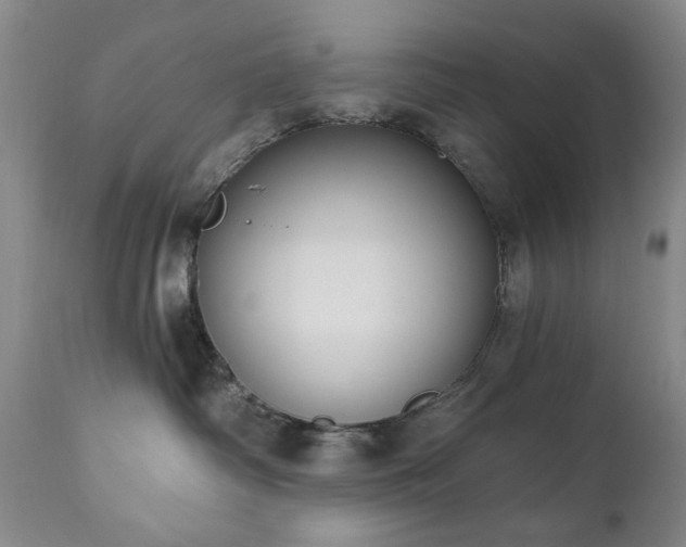 X0000111020334200906191658